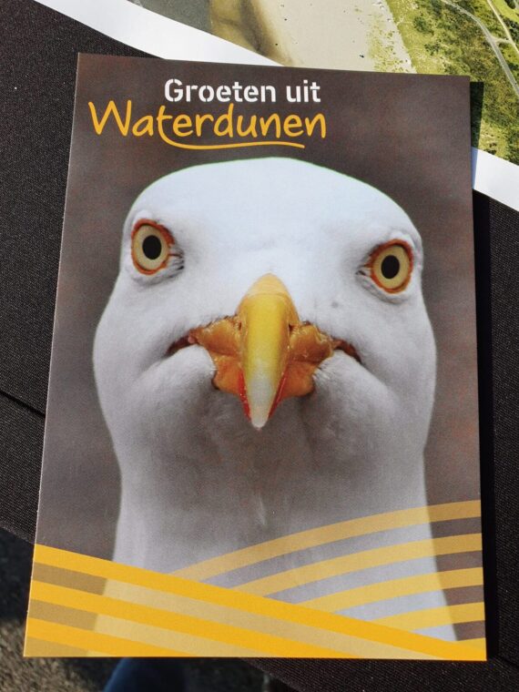 Een folder van natuurgebied Waterdunen