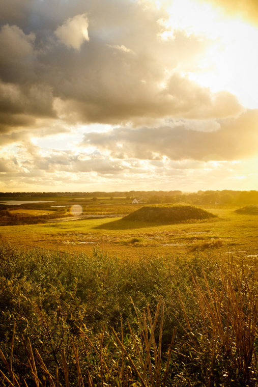 Zuidwestelijke Delta