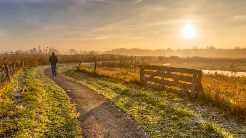 Een man loopt bij zonsopkomst over een smal paadje door de polder
