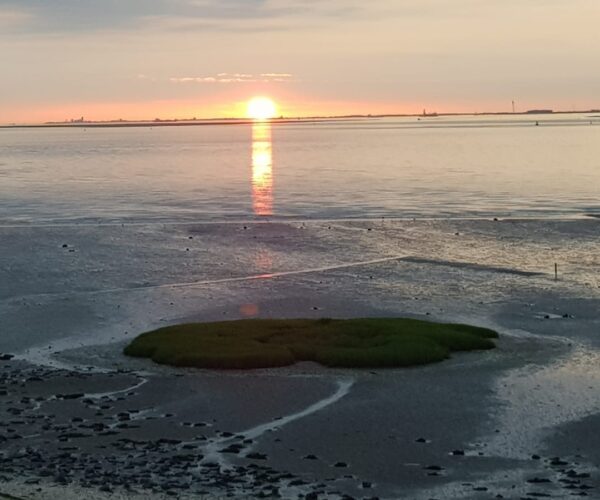 Ondergaande zon boven de Westerschelde.