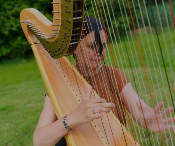 Een vrouw speelt harp, Antoinette Verkuijl-Rath Lievens Communiatie