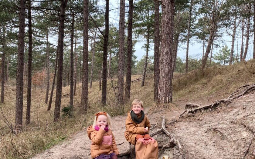Twee kinderen zitten op een tak in het bos.