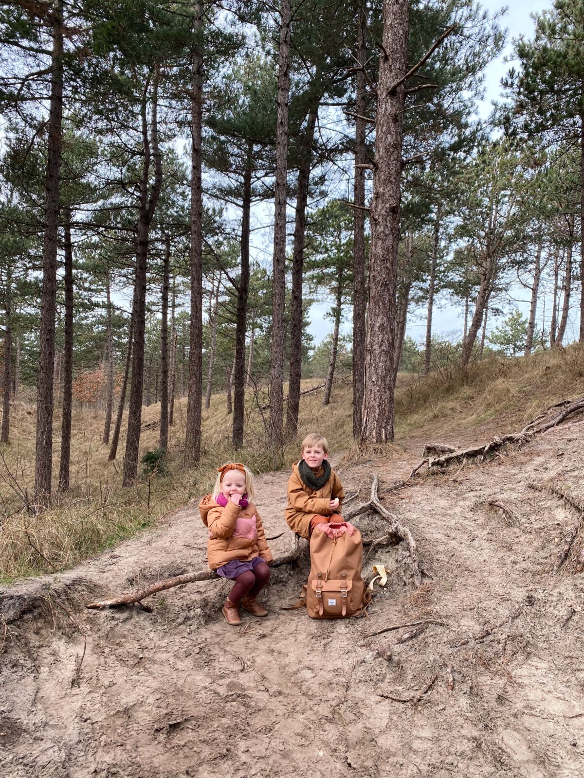 Twee kinderen zitten op een tak in het bos.