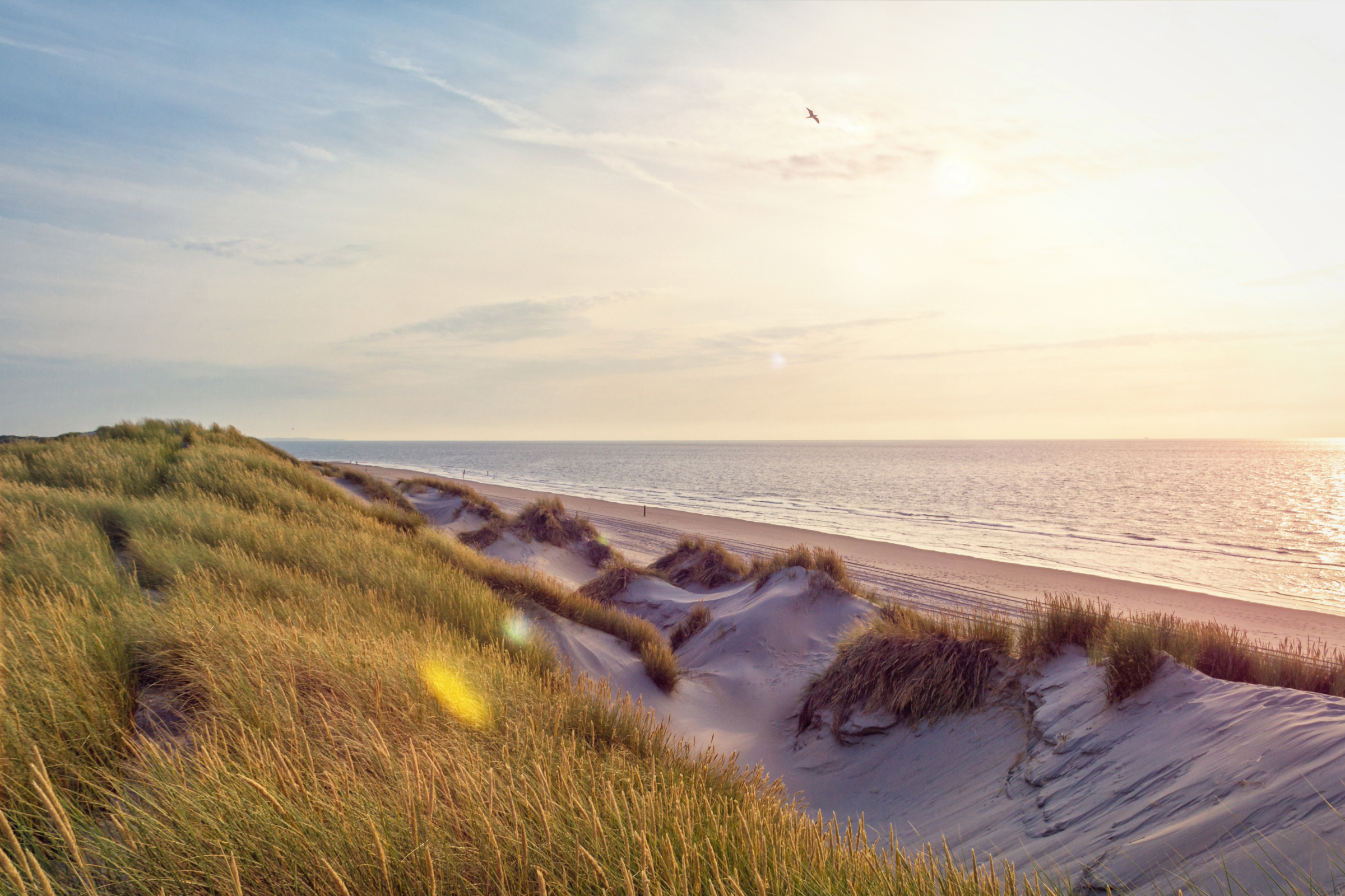 duinen in Zeeland